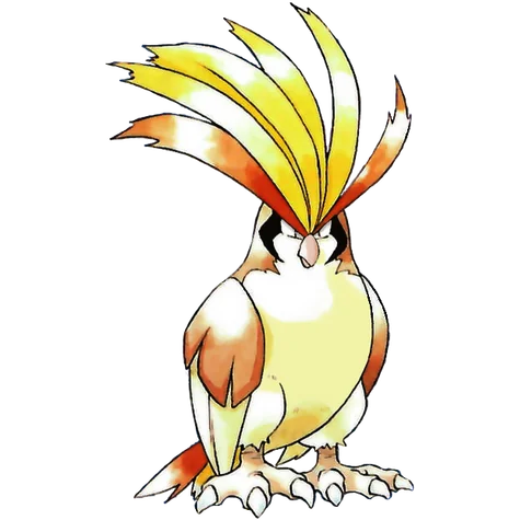 Pidgeot