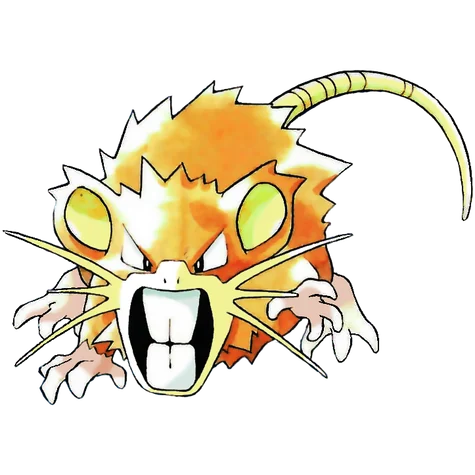 Raticate