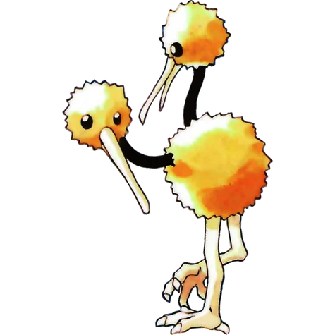 Doduo